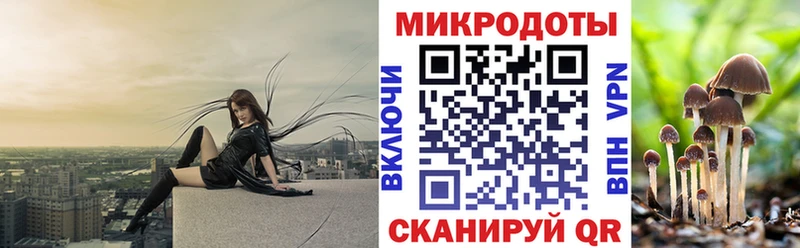 Галлюциногенные грибы мухоморы  наркота  маркетплейс Telegram  Славск  кракен ТОР 